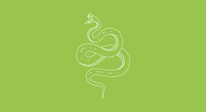 Medusa - News Brand